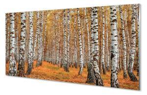 Sklenený obraz jesenné stromy 120x60 cm 4 Prívesky