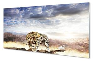 Obraz na skle panter mraky 100x50 cm 2 Prívesky