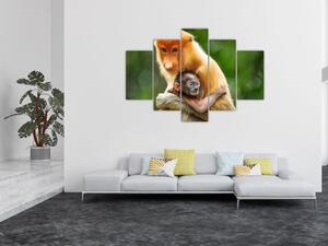 Obraz opíc (150x105 cm)