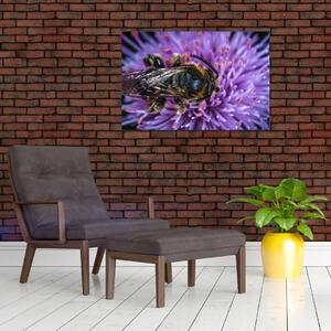 Obraz včely na kvetine (90x60 cm)