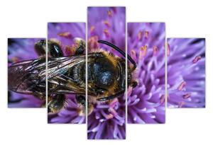 Obraz včely na kvetine (150x105 cm)
