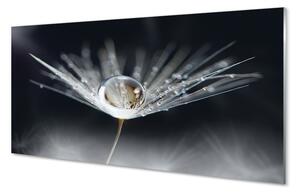 Obraz na skle Drop púpava makro 100x50 cm 2 Prívesky