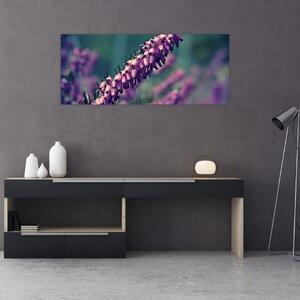 Obraz fialovej kvetiny (120x50 cm)