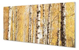 Sklenený obraz jesenné stromy 140x70 cm 2 Prívesky