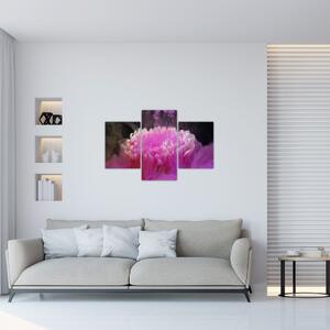 Obraz kvetiny v ružovom dyme (90x60 cm)