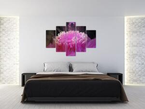 Obraz kvetiny v ružovom dyme (150x105 cm)