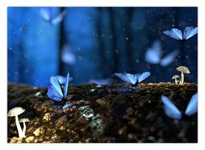 Obraz modrých motýľov (70x50 cm)