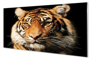 Sklenený obraz tiger 100x50 cm 2 Prívesky