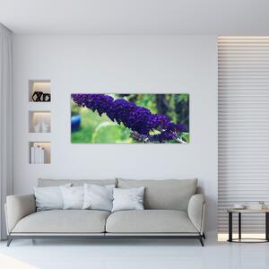 Obraz modrej kvetiny (120x50 cm)