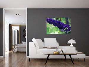 Obraz modrej kvetiny (90x60 cm)