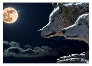 Obraz vlkov vyjúcich na mesiac (70x50 cm)
