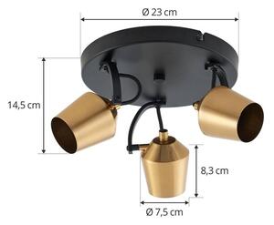 Lindby - Sylveria 3 Stropné Lampa Black/Gold - Lampemesteren