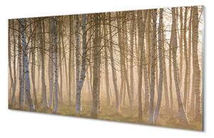 Sklenený obraz Sunrise strom les 100x50 cm 2 Prívesky