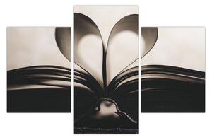 Obraz knihy (90x60 cm)