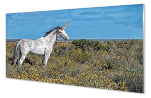 Sklenený obraz Unicorn Golf 100x50 cm 2 Prívesky