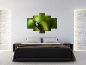 Obraz páva (150x105 cm)