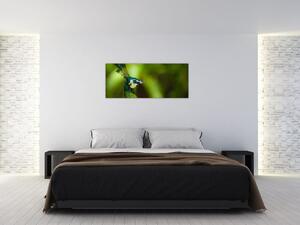 Obraz páva (120x50 cm)