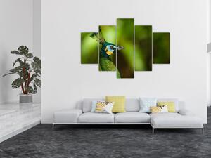 Obraz páva (150x105 cm)