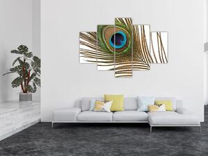 Obraz pávieho peria (150x105 cm)