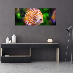 Obraz ryby (120x50 cm)