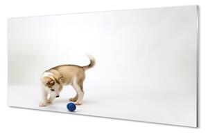 Nástenný panel  Hrať s tým psom 100x50 cm