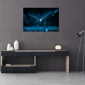 Obraz letiacej sovy (90x60 cm)