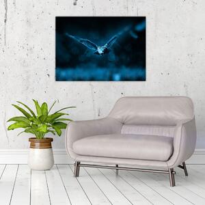 Obraz letiacej sovy (70x50 cm)
