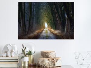 Nalepte.cz Cesta alejou textilní prelepiteľná nálepka na stenu 45 x 30 cm