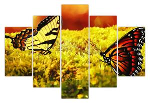 Obraz motýľov (150x105 cm)