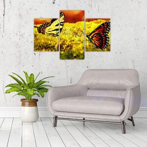 Obraz motýľov (90x60 cm)