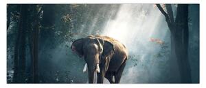 Obraz slona v džungli (120x50 cm)