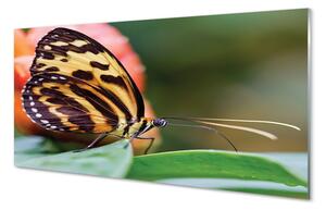 Sklenený obraz motýľ 120x60 cm 4 Prívesky