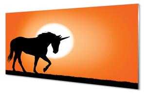 Sklenený obraz Sunset Unicorn 100x50 cm 4 Prívesky
