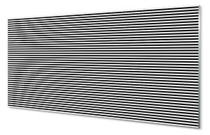 Sklenený obraz zebra pruhy 120x60 cm 4 Prívesky