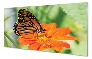 Sklenený obraz Kvet farebný motýľ 140x70 cm 2 Prívesky