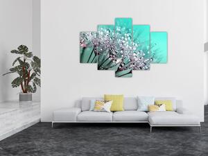 Obraz - orosená rastlina (150x105 cm)
