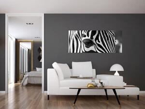 Obraz zebry (120x50 cm)