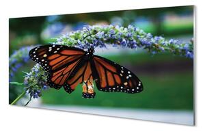 Sklenený obraz Motýľ na kvetine 125x50 cm 2 Prívesky