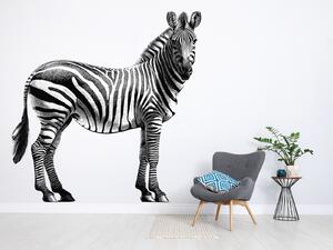 Nalepte.cz Zebra textilní prelepiteľná nálepka na stenu arch 44 x 45 cm