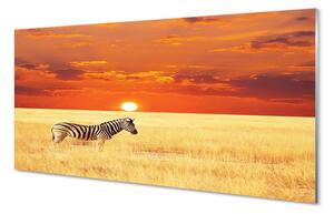 Sklenený obraz Zebra poľa sunset 100x50 cm 2 Prívesky
