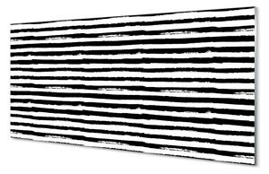 Nástenný panel  Nepravidelné pruhy zebra 100x50 cm