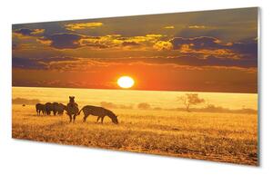 Obraz na skle Zebra západ mraky 100x50 cm 2 Prívesky