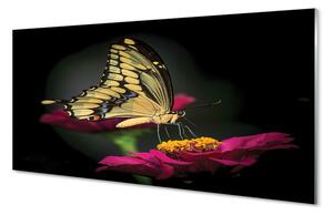 Nástenný panel  Motýľ na kvetine 100x50 cm