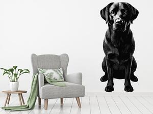 Nalepte.cz Labradorský retriever textilní prelepiteľná nálepka na stenu arch 19 x 45 cm