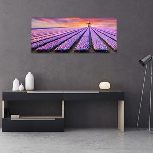 Obraz - kvetinová farma (120x50 cm)