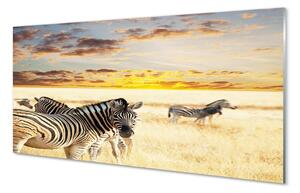 Sklenený obraz Zebry poľa sunset 100x50 cm 2 Prívesky