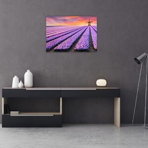 Obraz - kvetinová farma (70x50 cm)