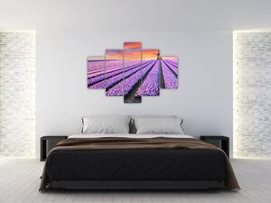 Obraz - kvetinová farma (150x105 cm)