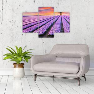 Obraz - kvetinová farma (90x60 cm)