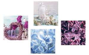 Set obrazov zátišie lucerničiek a kvetov